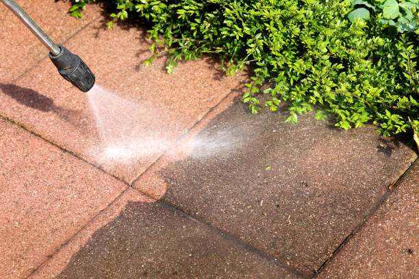 Best Pressure Washing Near Me  in Lamar, CO